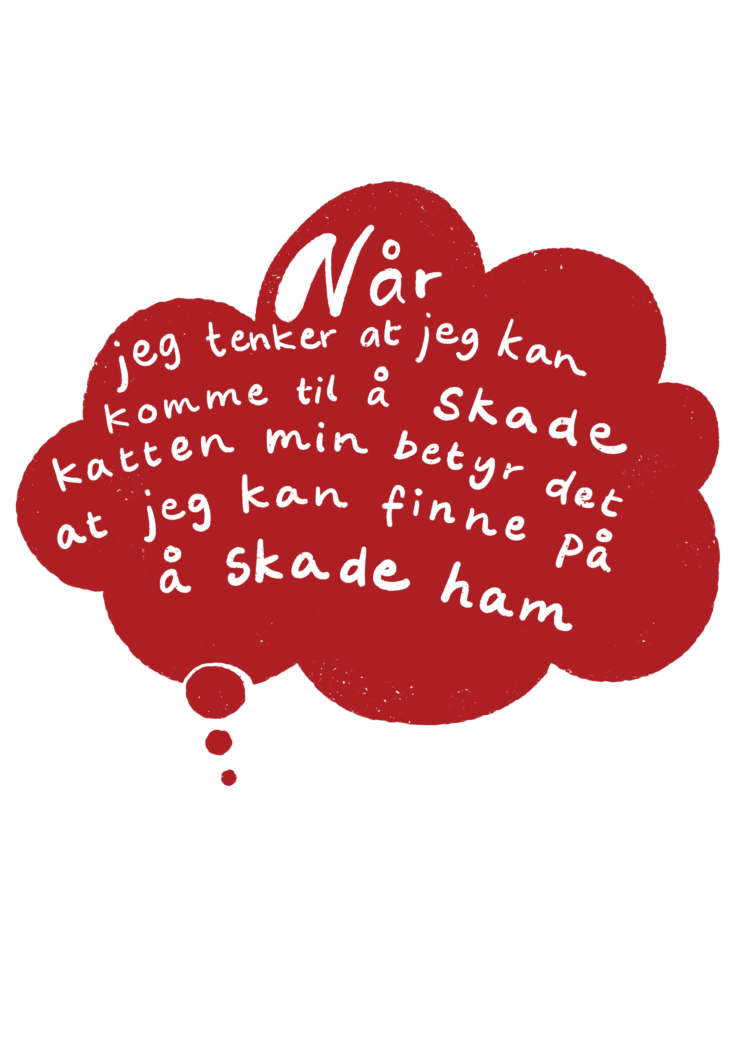 skade_katten.jpg
